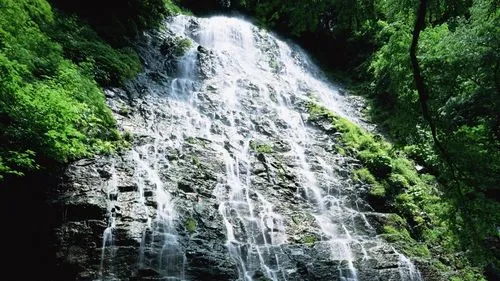 精密高标准高效